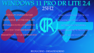 DR Lite Windows 11 2.4 (x64)